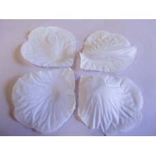 Petals